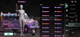 28 destansılı mumyalı 70 seviye hesap