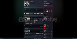 28 Oyun CS2 Seçkin İLK MAİLLİ HESAP 