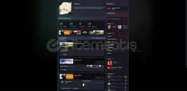 28 Oyunlu CS2 Seçkin Hesap İLK MAİLLİ ACİL