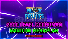 ⭐2800 LEVEL GODHUMAN | Blox Fruits Random⭐ 