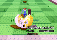 ⭐288K FOGGY-GOLD KING LEMONE⭐