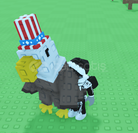 2X (2tane) bald eagle 2X (2tane) bald eagle