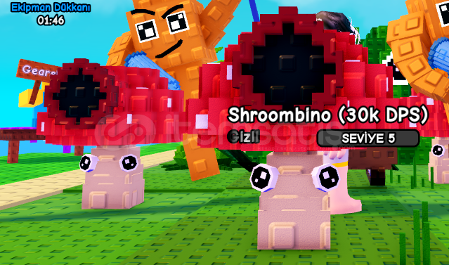 2x SHROOMBİNO 5 SEVİYE 2x SHROOMBİNO 5 SEVİYE