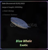 4X blue whale