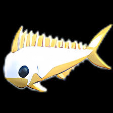 3x Gold Mahi Mahi 3x Gold Mahi Mahi