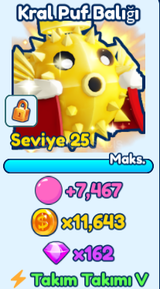 2X King Pufferfish En Ucuzu Hemen Teslim