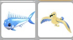 2X LEGEND PET PAKETİ