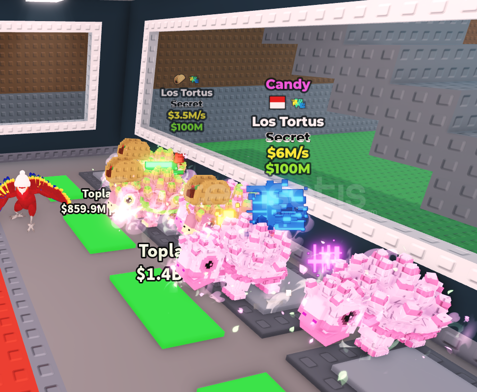 2x Los tortus 2x Los tortus