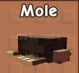 ????????2x MOLE (ilk 3 slıcıya bedava owl ve frog)
