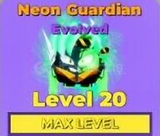 2X NEON PET 20LVL