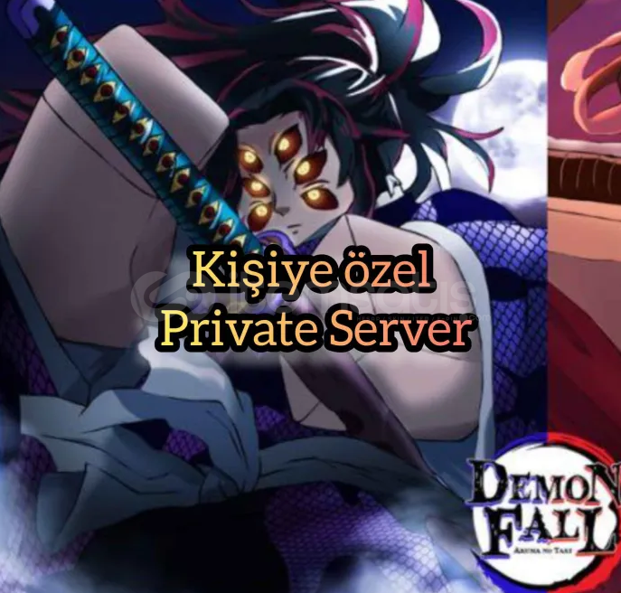 2x Private Server 2x Private Server