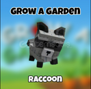 2x Raccoon hemen teslim!