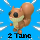 2x Red Squirrel En Uygunu! 