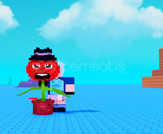 2x tomade torelli 2x tomade torelli