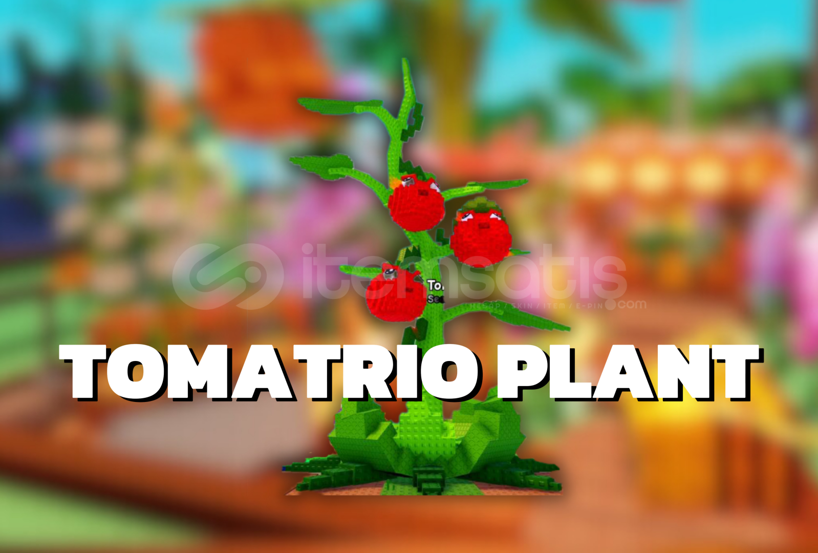 5x Tomatrio Plant || Plant vs Brainrot 5x Tomatrio Plant || Plant vs Brainrot