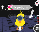 2X ZODIAC MINION CHICK