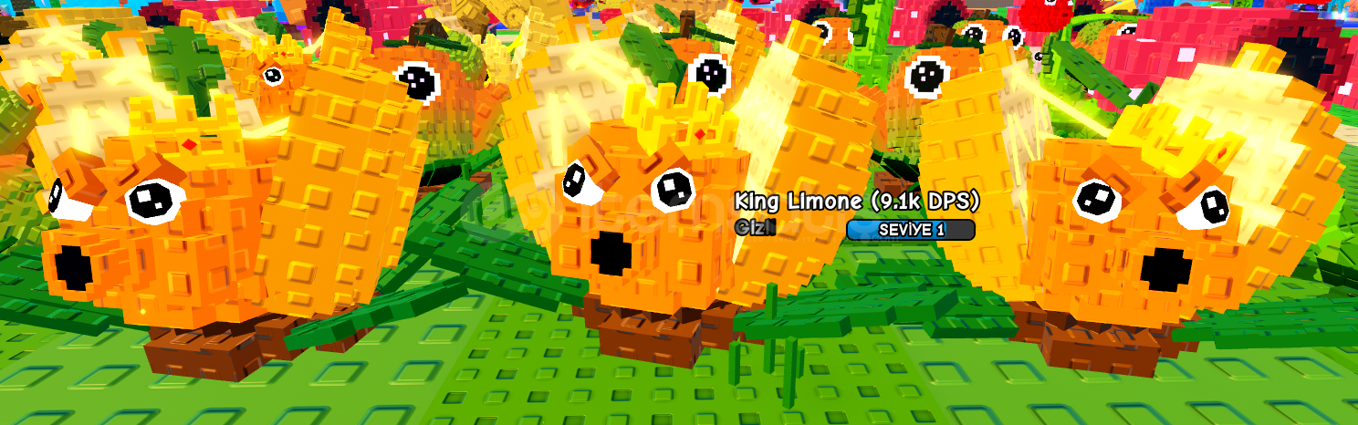 ⭐3 adet King Limone⭐ ⭐3 adet King Limone⭐