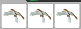 3 adet no pot hawk