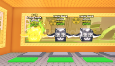 3 Adet Secret Lucky Block