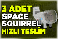 ⭐3 Adet SPACE SQUIRREL Grow a Garden ⭐Hızlı⭐