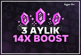 3 Aylık 14x BOOST 