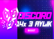 3 Aylık 14X Boost