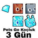 3 Günlük Koçluk Pets Go