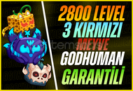 3 Kırmızı Meyve + GODHUMAN + 2800 (MAX) Level