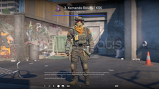 3rd Commando Company | KSK