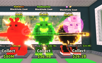 3 Tane Blackhole Goat