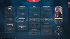 3 VANDALLI BULLDOGLU SMURFLÜK ACC!