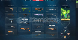 3 vandallı kelebekli uygun hesap 