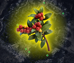 ⭐25 ADET MUM MEYVESİ SİPARİŞ VEREBİLİRSİNİZ⭐