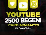 ⭐30 GÜN GARANTİ ⭐ 2500 YOUTUBE BEĞENİ