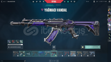 30 ile 120 arası skin random hesap 