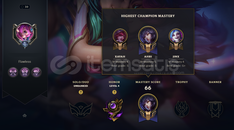 30 lvl handmade euw acc