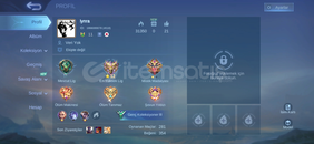 30 Skinli Mistik Düşmesi Hesap