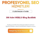 300 Adet WEB2.0 Blog Backlink