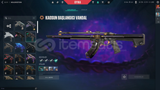 300+LVL EFSANE HESAP 