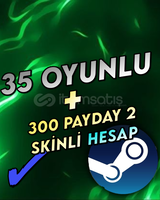 300 PAYDAY SKİNLİ STEAM HESABI