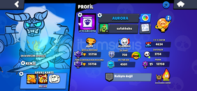 300+ skin 55750 kupa hesap