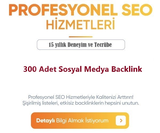 300 Sosyal Medya Backlink