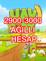 2900-3000 AĞILLI HESAP