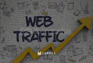 3000 Türk Web Site Trafiği [Organik]