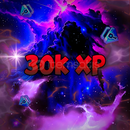 30.000 - LEVEL XP 