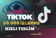 30.000 Tiktok İzlenme
