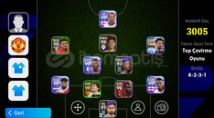 3005 KG TEK BAĞ HESAP