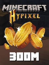 300M HYPIXEL SKYBLOCK COIN