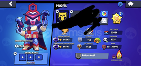 309 Skin 2019 Hesabı 86K