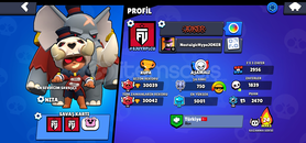 ⚡30K+FİLDİŞİ NİTA⚡